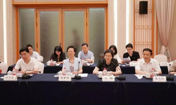 大红鹰dhy(中国)有限公司官网
