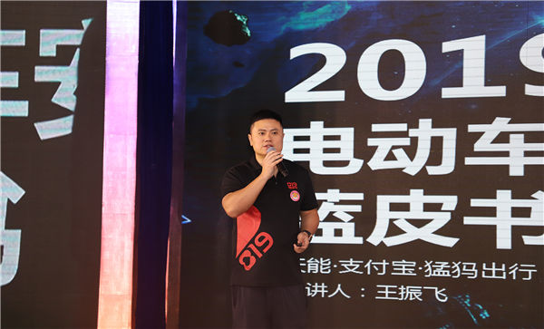 大红鹰dhy(中国)有限公司官网