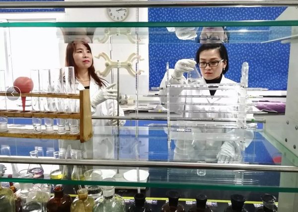 大红鹰dhy(中国)有限公司官网
