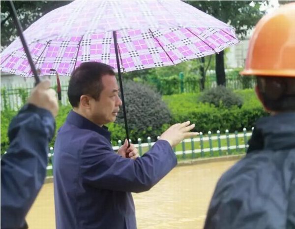 大红鹰dhy(中国)有限公司官网