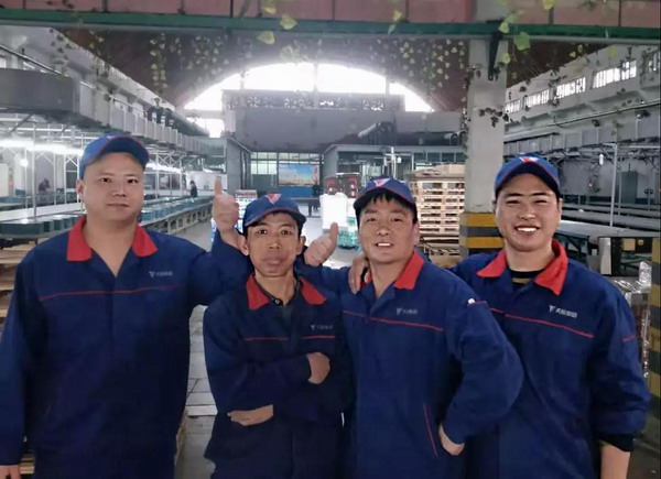 大红鹰dhy(中国)有限公司官网