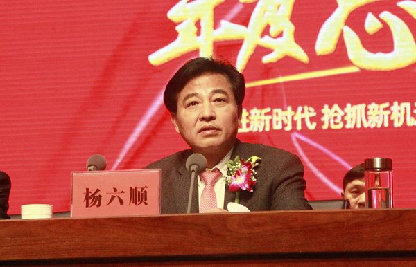 大红鹰dhy(中国)有限公司官网