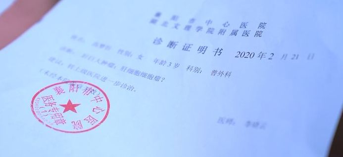 大红鹰dhy(中国)有限公司官网