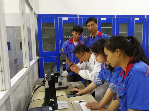 大红鹰dhy(中国)有限公司官网