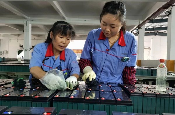 大红鹰dhy(中国)有限公司官网