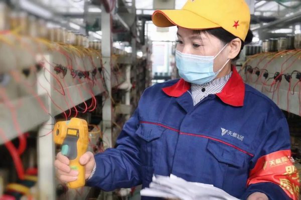 大红鹰dhy(中国)有限公司官网