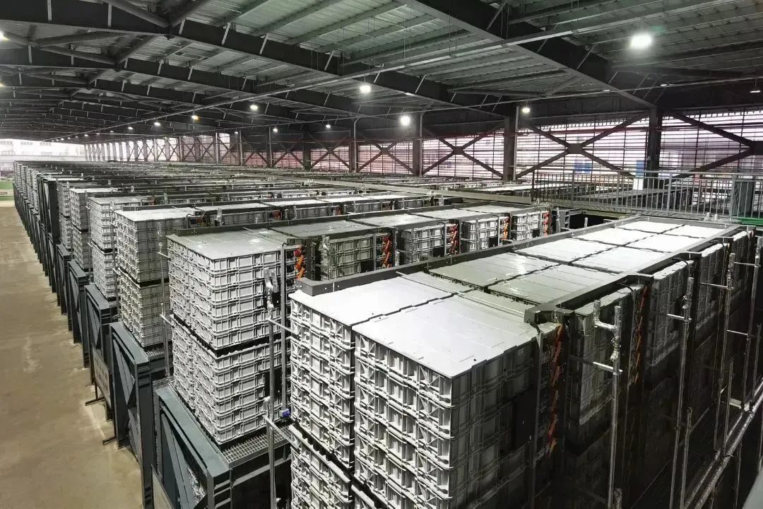 大红鹰dhy(中国)有限公司官网