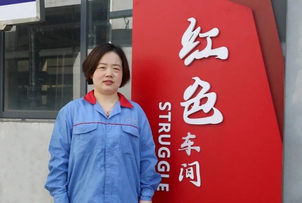 大红鹰dhy(中国)有限公司官网