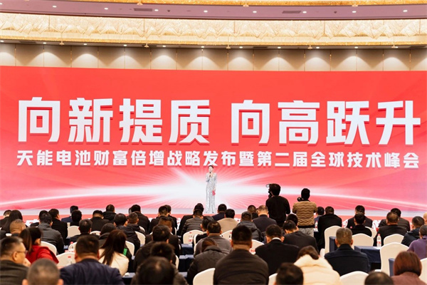 大红鹰dhy(中国)有限公司官网