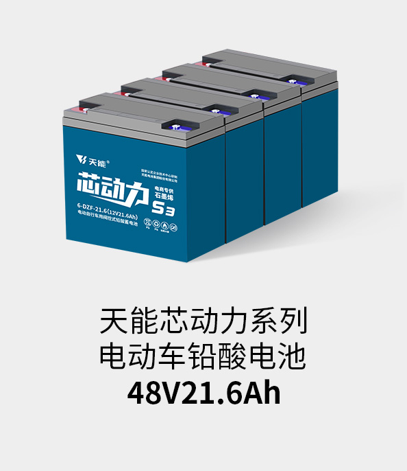 大红鹰dhy电池48v20ah