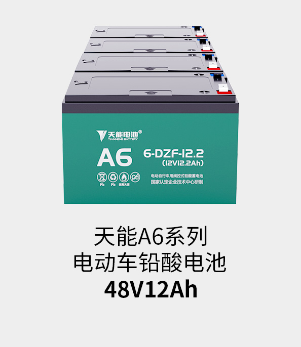 大红鹰dhy电池48v12ah