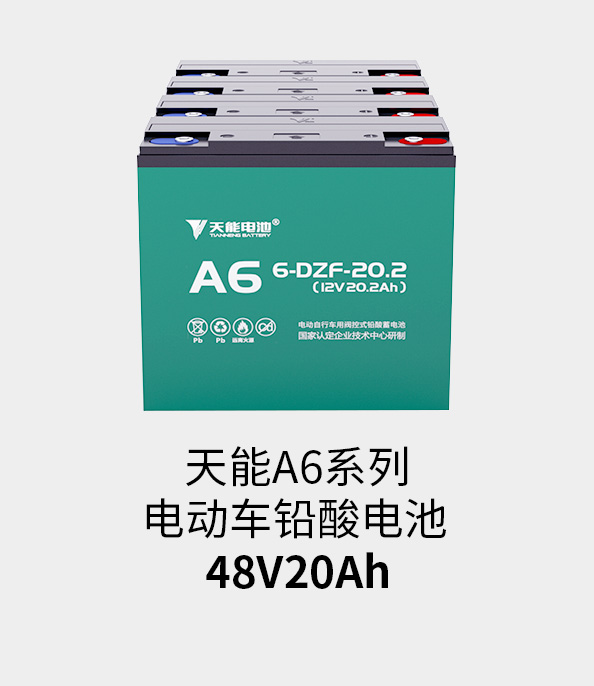 大红鹰dhy电池48v20ah