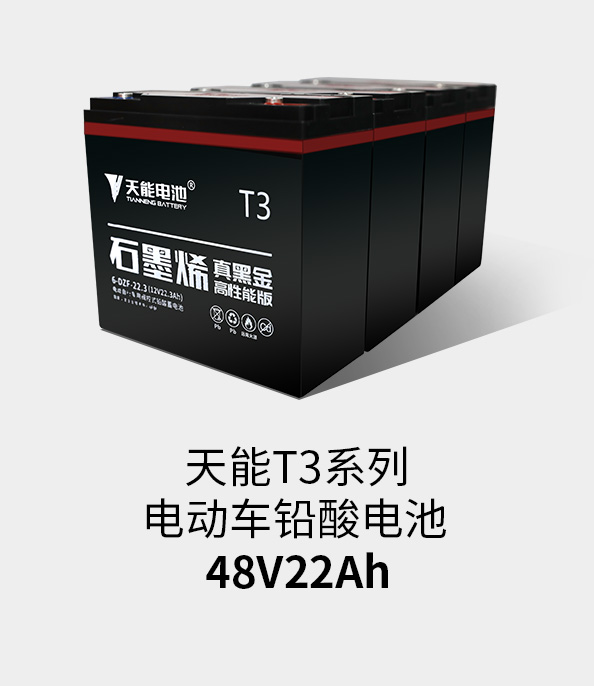 大红鹰dhyT3系列48v22ah